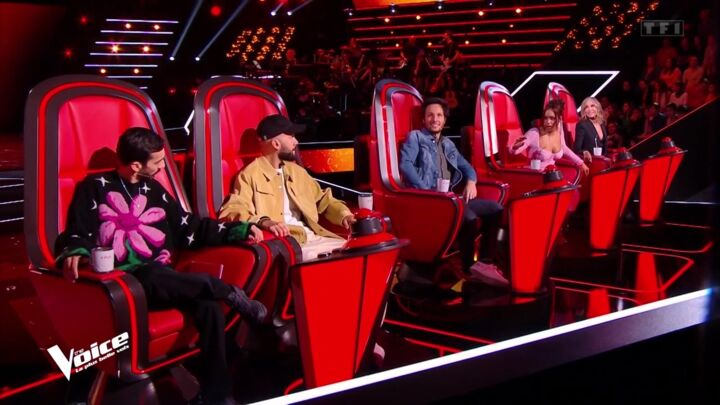 image-2 The Voice en chute libre