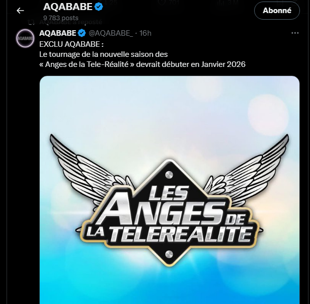 Un retour explosif des Anges de la téléréalité sur TFX au printemps 2026 ?